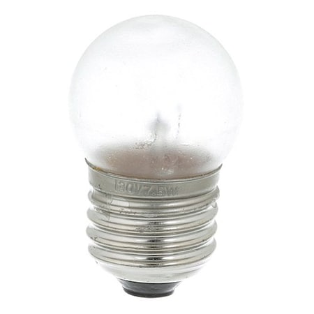 Light Bulb